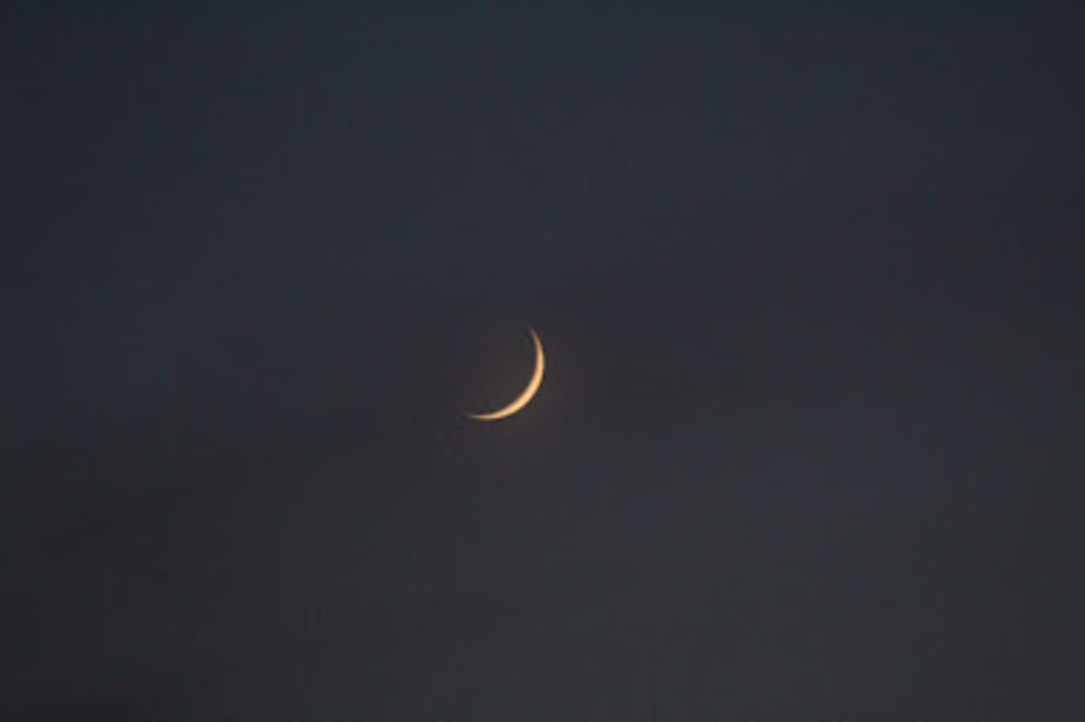 Meet your Posher, Yaki